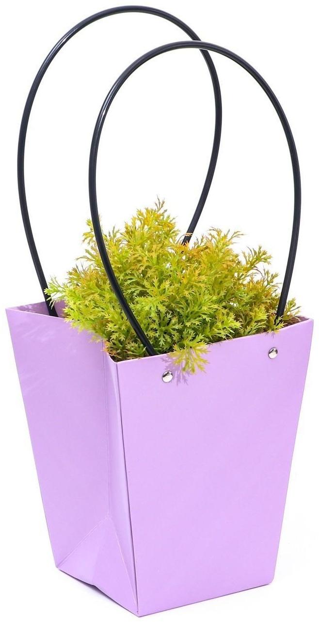 Сумка для цветов «Лиловая», влагостойкая, 17 x 17 - 11,5 x 11,5 - 20 см