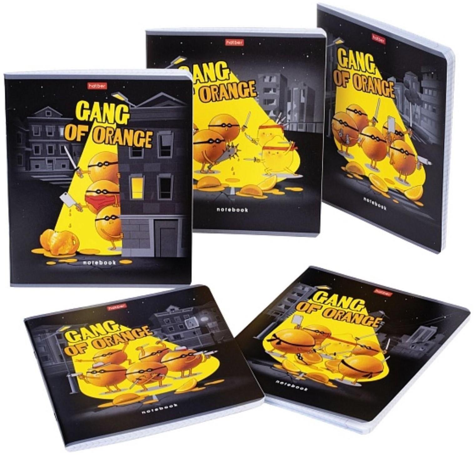 Тетрадь 48 листов клетка 