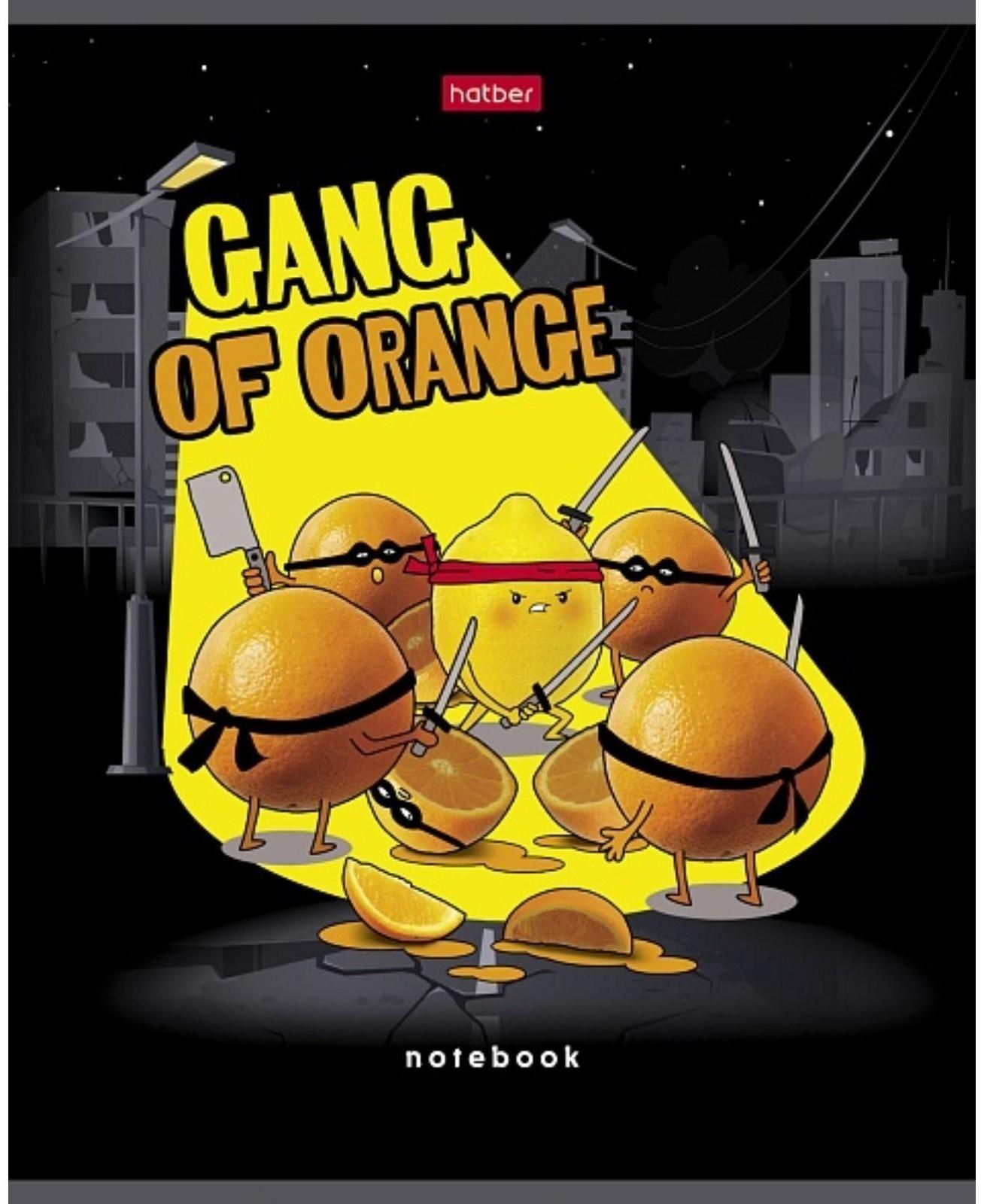 Тетрадь 48 листов клетка 