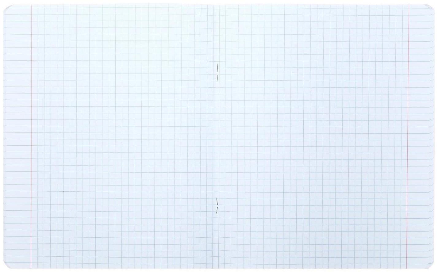 Тетрадь 48 листов клетка 