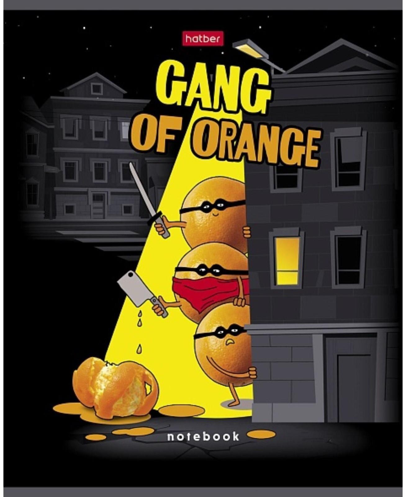 Тетрадь 48 листов клетка 