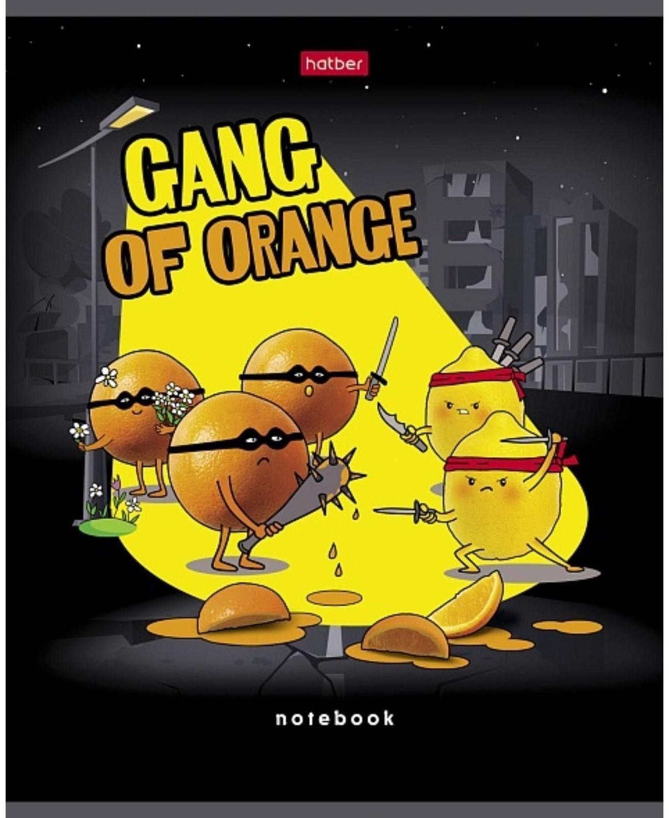 Тетрадь 48 листов клетка 