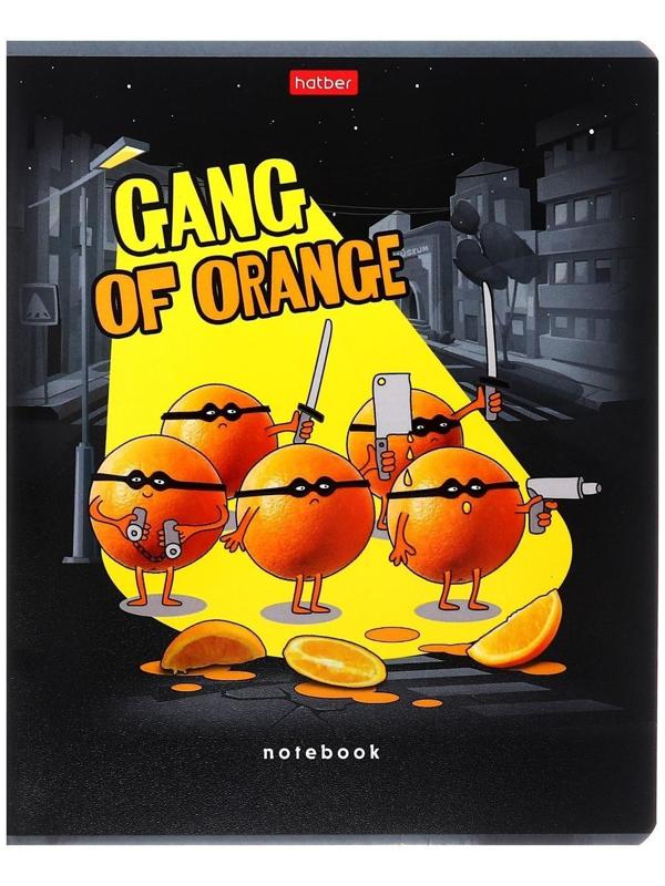 Тетрадь 48 листов клетка 