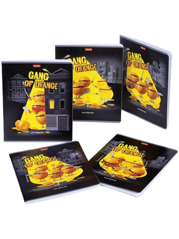 Тетрадь 48 листов клетка 