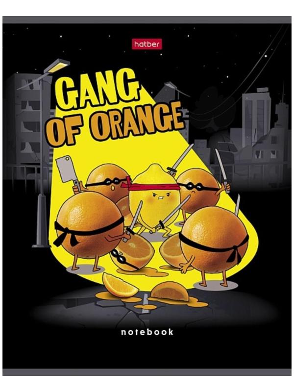 Тетрадь 48 листов клетка 