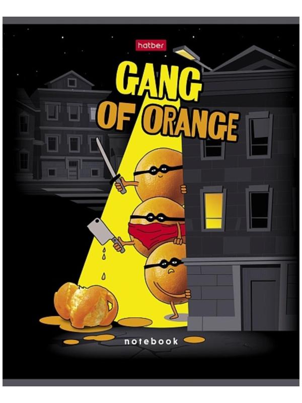 Тетрадь 48 листов клетка 