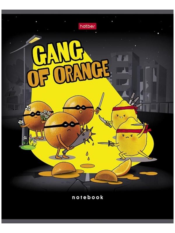 Тетрадь 48 листов клетка 