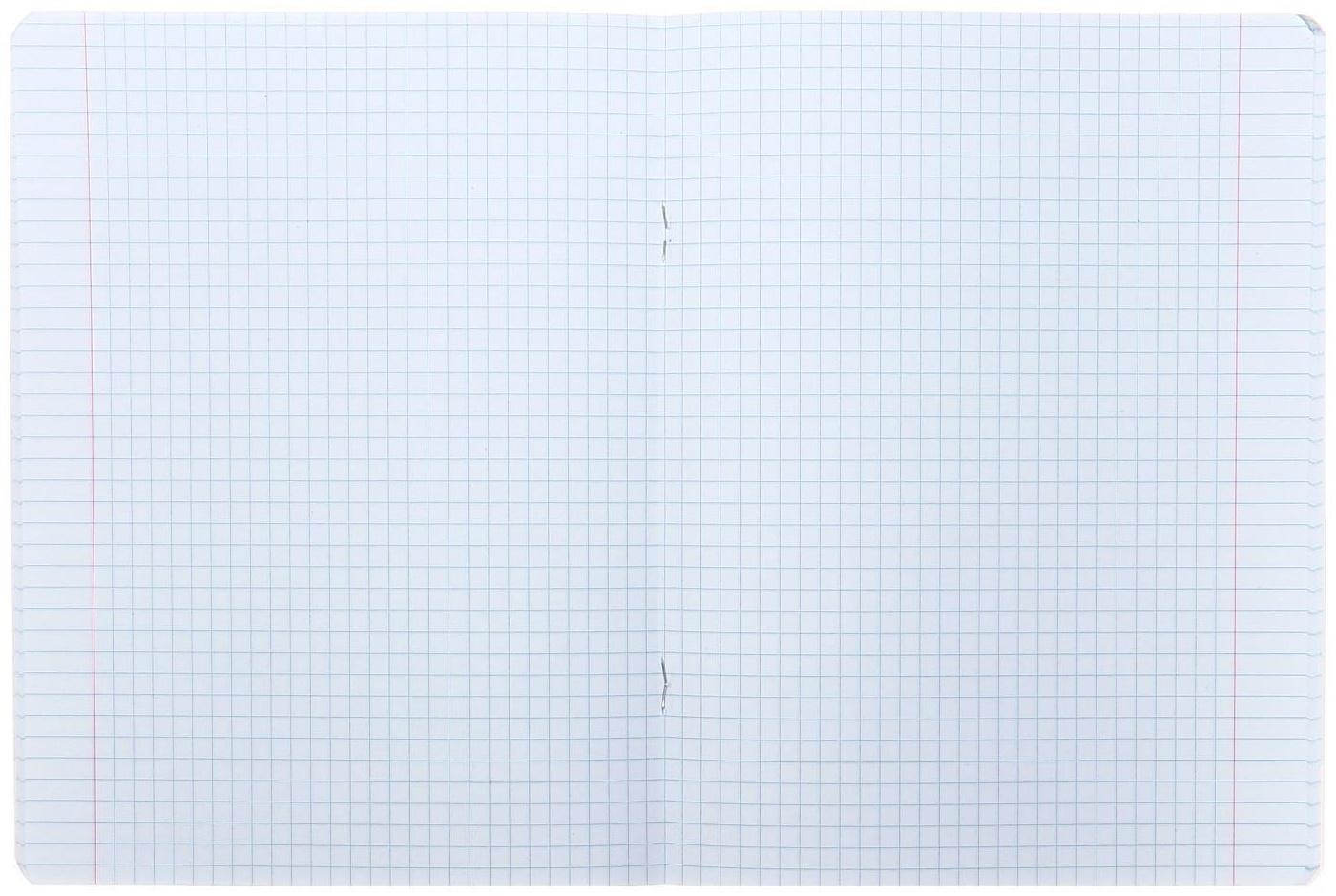 Тетрадь 48 листов клетка 