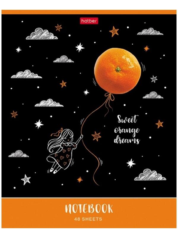 Тетрадь 48 листов клетка 