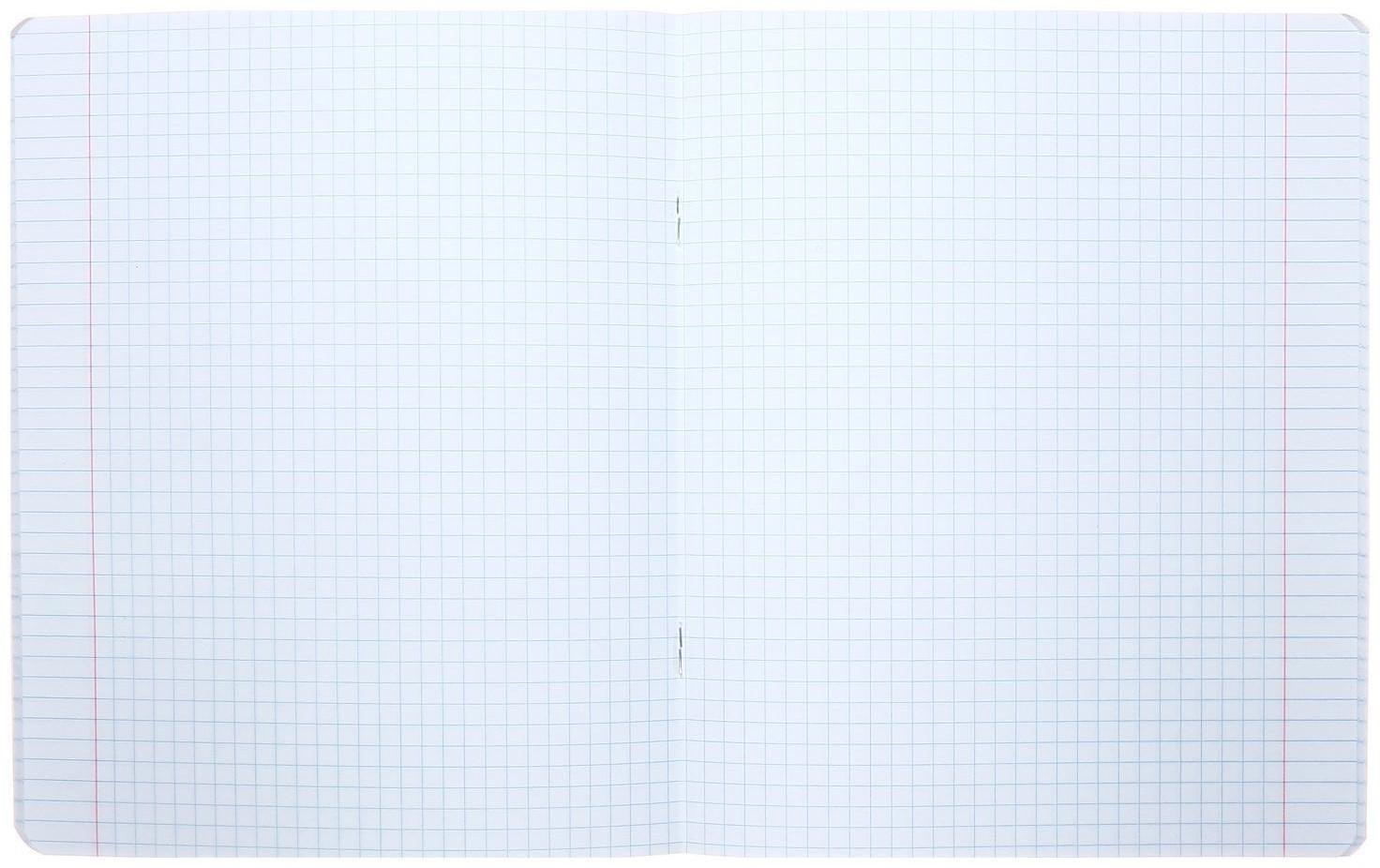 Тетрадь 48 листов клетка 