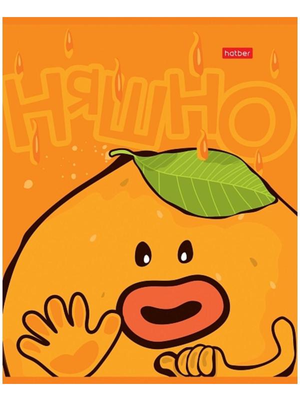 Тетрадь 48 листов клетка 