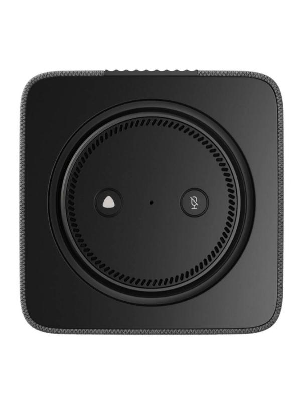 Умная колонка Яндекс Станция Макс Zigbee, графит/black (YNDX-00053K)