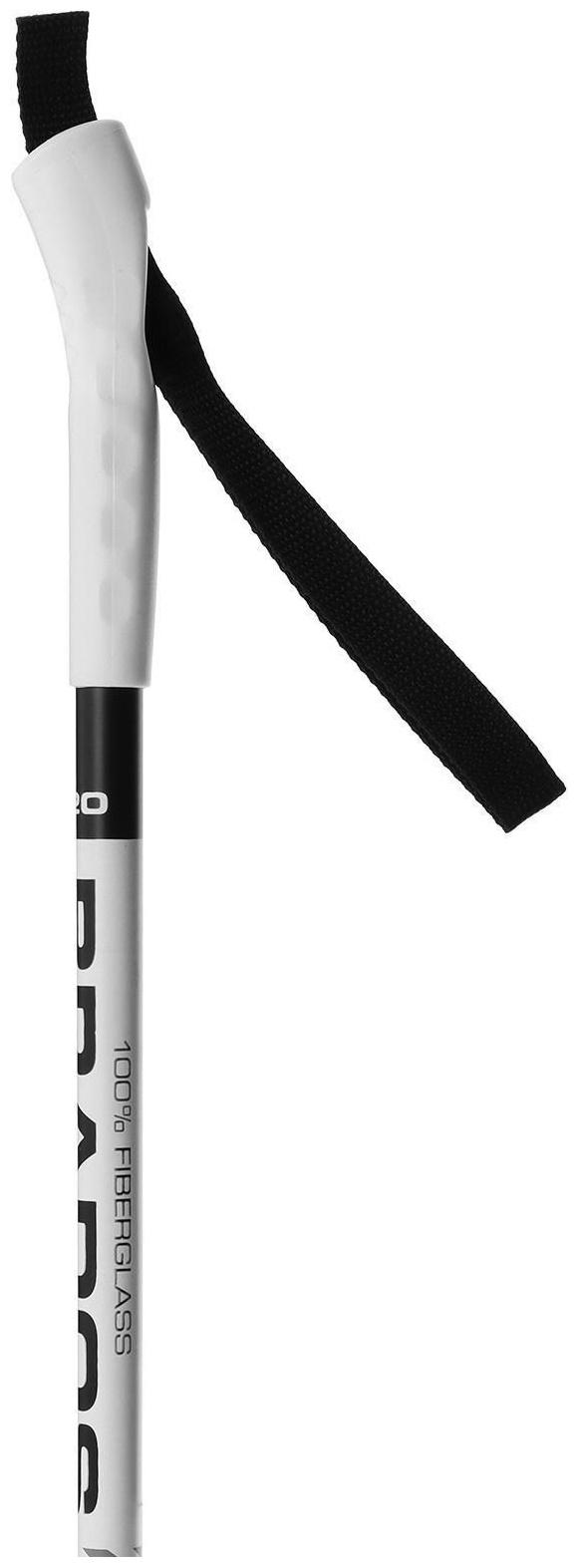 Палки лыжные стеклопластиковые ЦСТ, 120 см, цвета микс