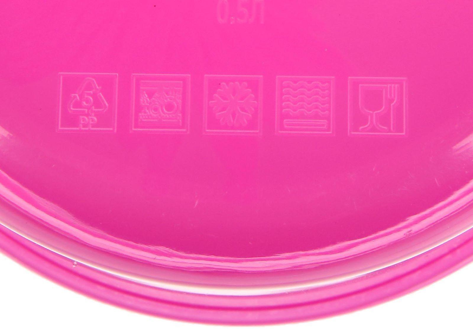 Ланч-бокс «Цветы», 0.5 л