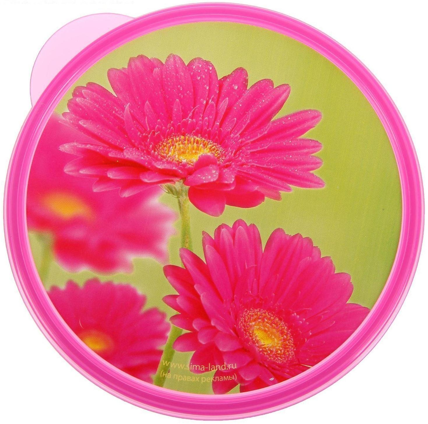 Ланч-бокс «Цветы», 0.5 л