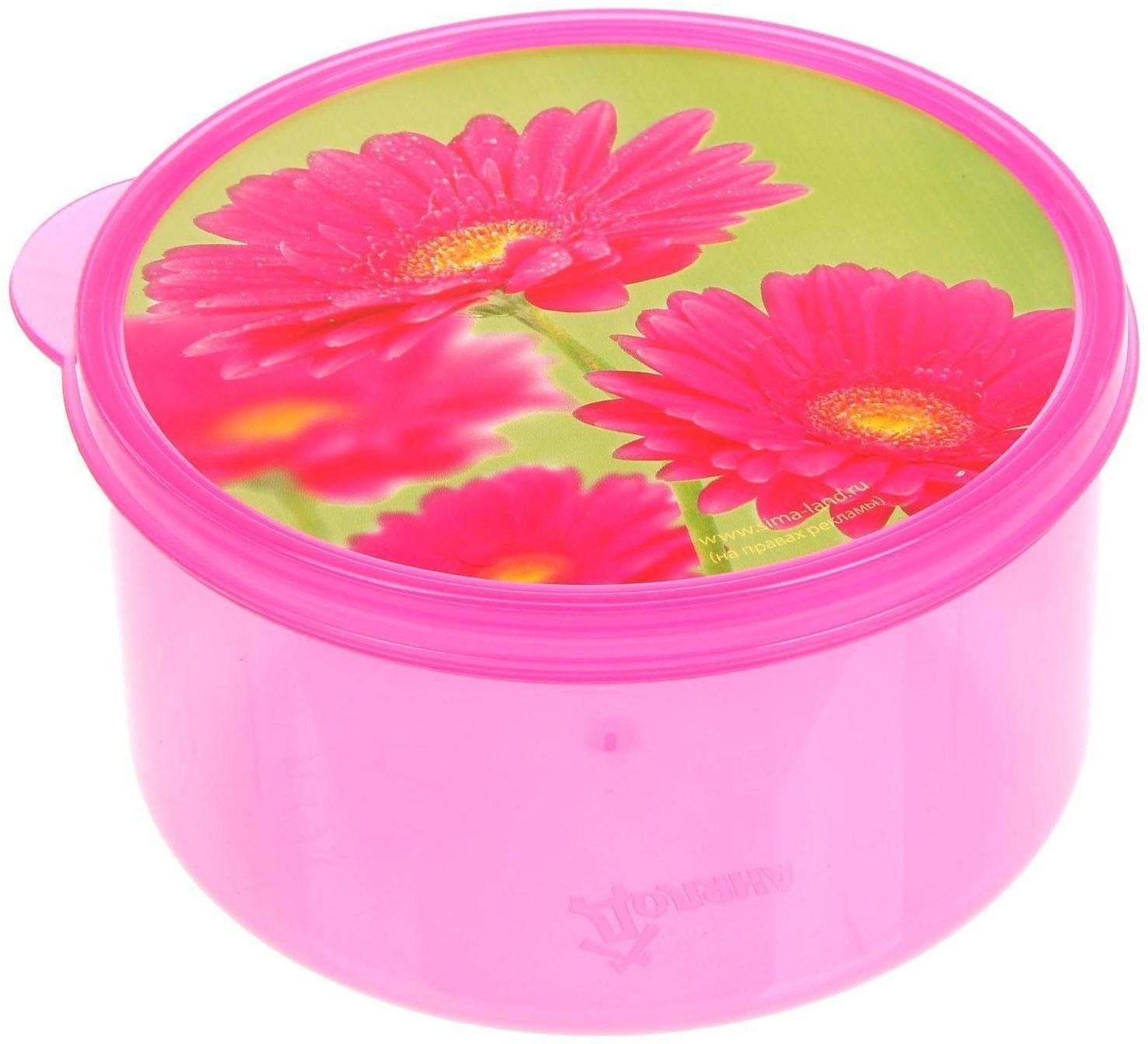 Ланч-бокс «Цветы», 0.5 л