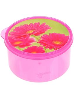 Ланч-бокс «Цветы», 0.5 л