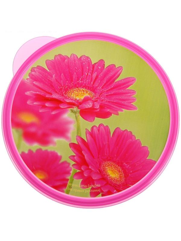 Ланч-бокс «Цветы», 0.5 л