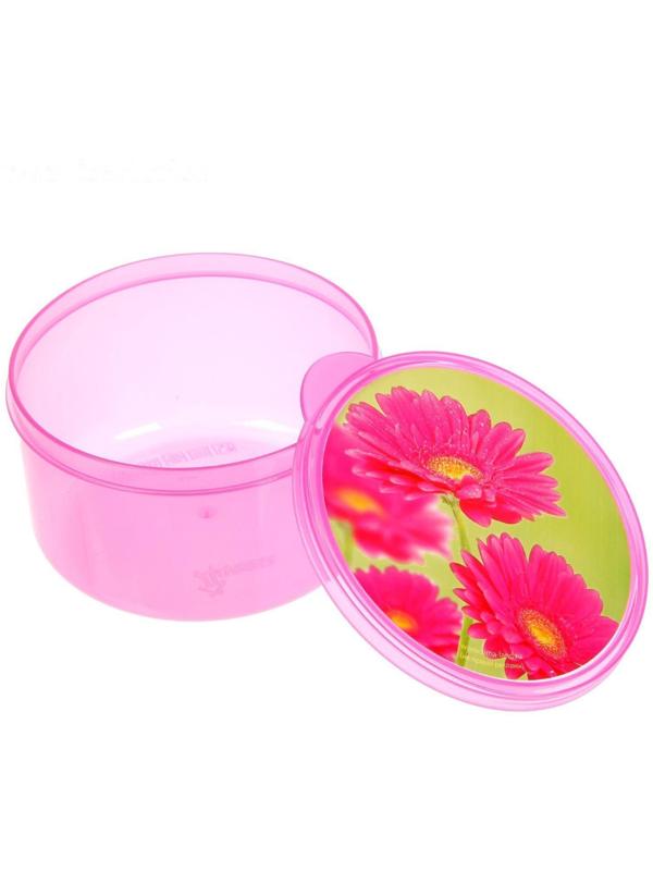 Ланч-бокс «Цветы», 0.5 л