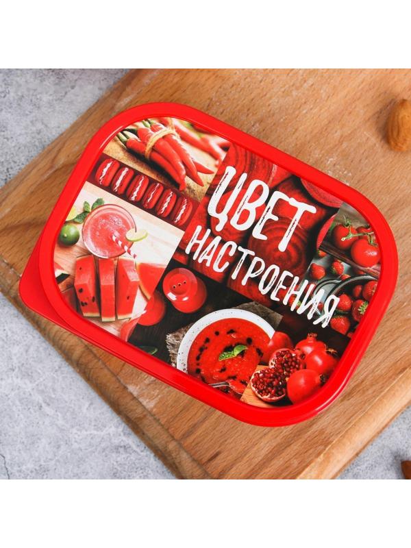 Ланч-бокс «Цвет настроения красный», 0.5 л