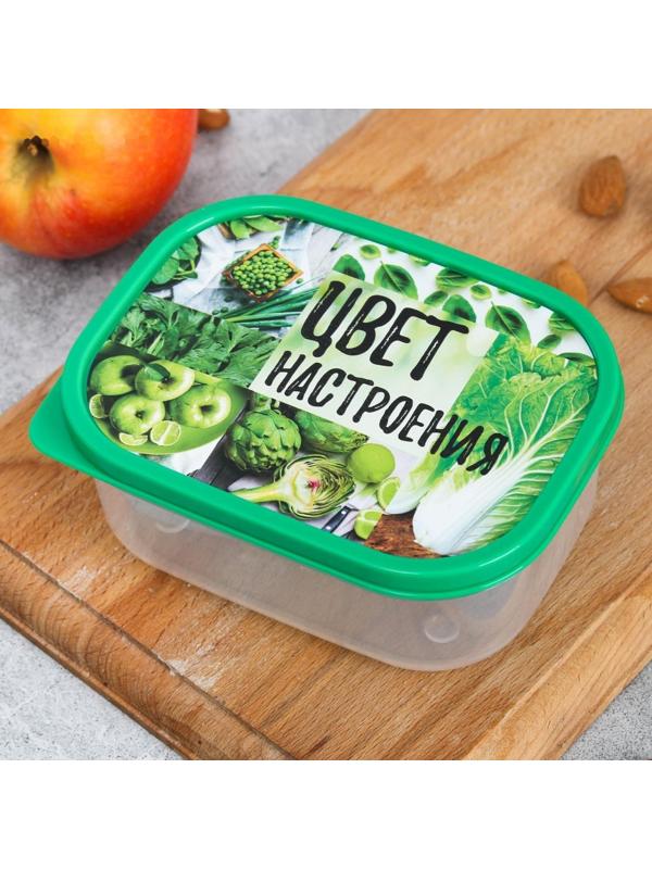 Ланч-бокс «Цвет настроения зелёный», 0.5 л