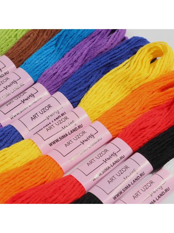 Набор ниток мулине «Школьный», хлопок, 8 ± 1 м, 10 шт