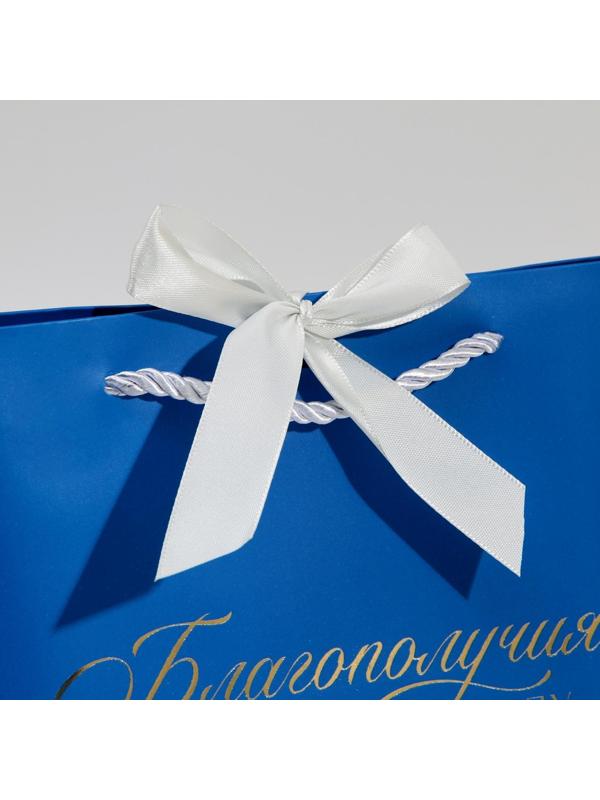 Пакет подарочный «Благополучия в Новом году», 19 х 20 х 9 см