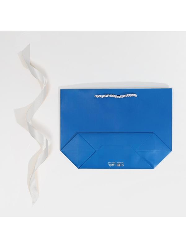 Пакет подарочный «Благополучия в Новом году», 19 х 20 х 9 см