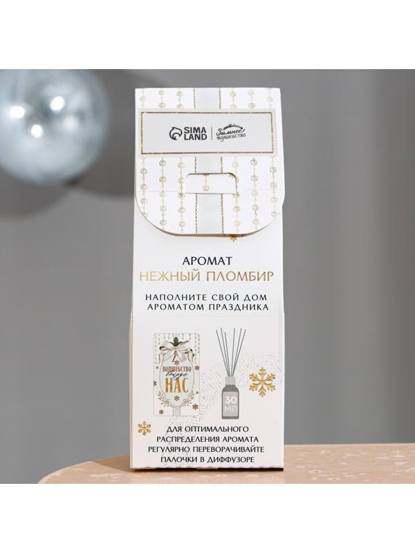 Диффузор «Почувствуй зимнюю сказку», 30 мл, аромат пломбира