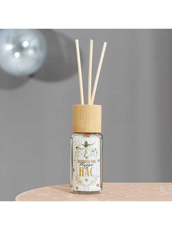 Диффузор «Почувствуй зимнюю сказку», 30 мл, аромат пломбира