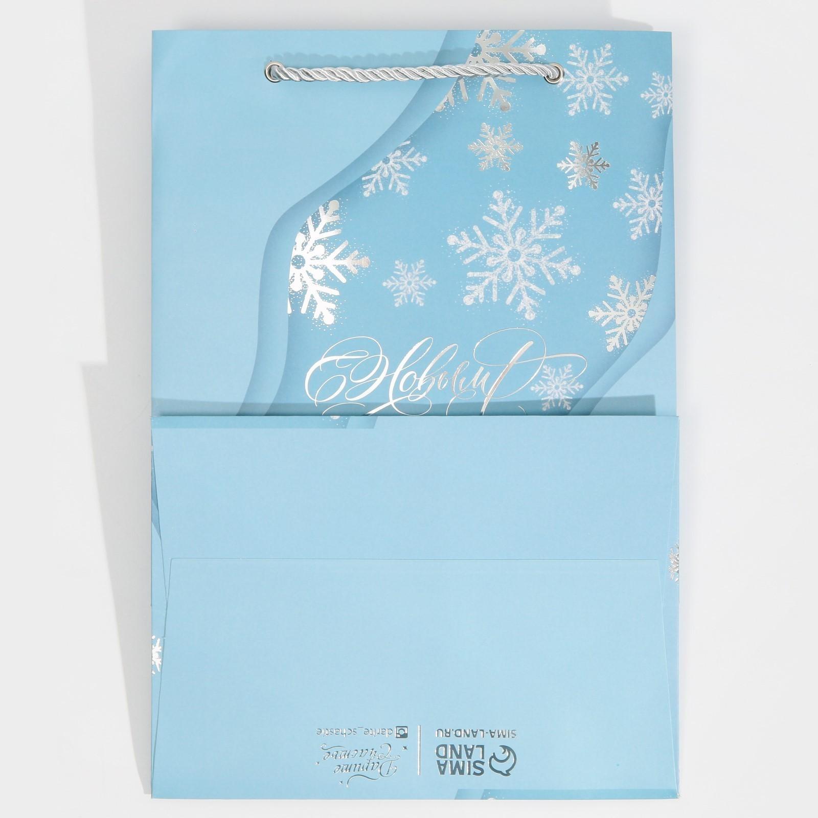 Пакет ламинированный «Лёд», 21 × 30 × 15 см