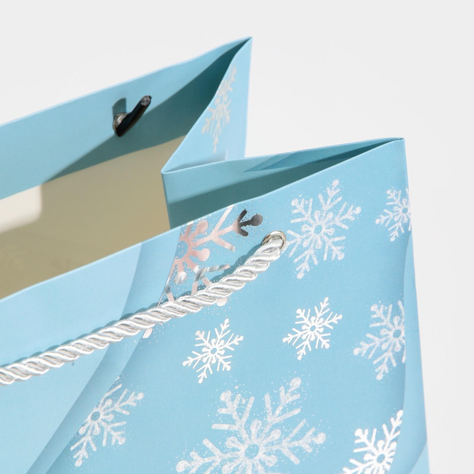 Пакет ламинированный «Лёд», 21 × 30 × 15 см