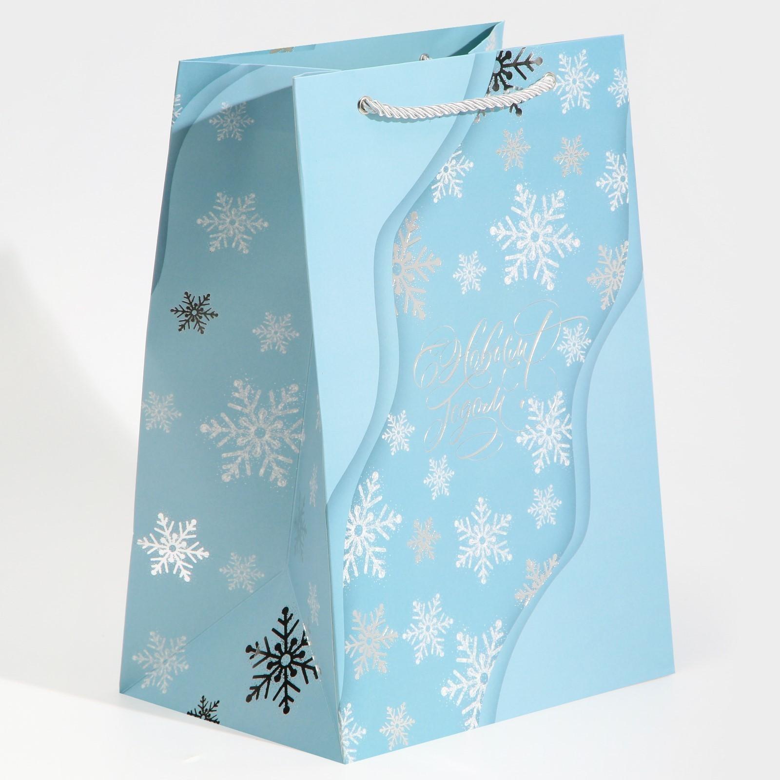 Пакет ламинированный «Лёд», 21 × 30 × 15 см