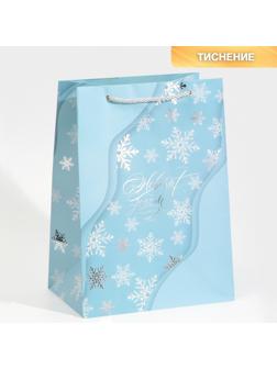 Пакет ламинированный «Лёд», 21 × 30 × 15 см