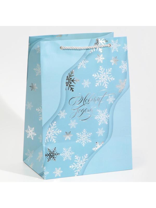 Пакет ламинированный «Лёд», 21 × 30 × 15 см