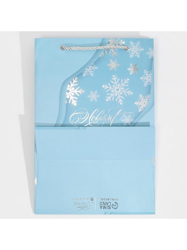 Пакет ламинированный «Лёд», 21 × 30 × 15 см