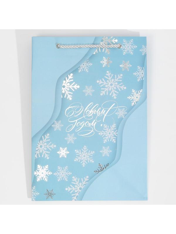 Пакет ламинированный «Лёд», 21 × 30 × 15 см