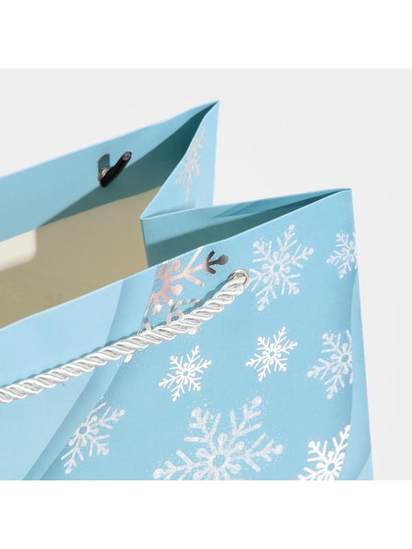 Пакет ламинированный «Лёд», 21 × 30 × 15 см