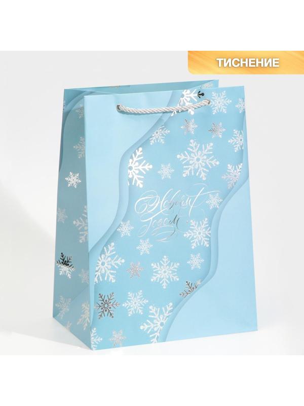Пакет ламинированный «Лёд», 21 × 30 × 15 см