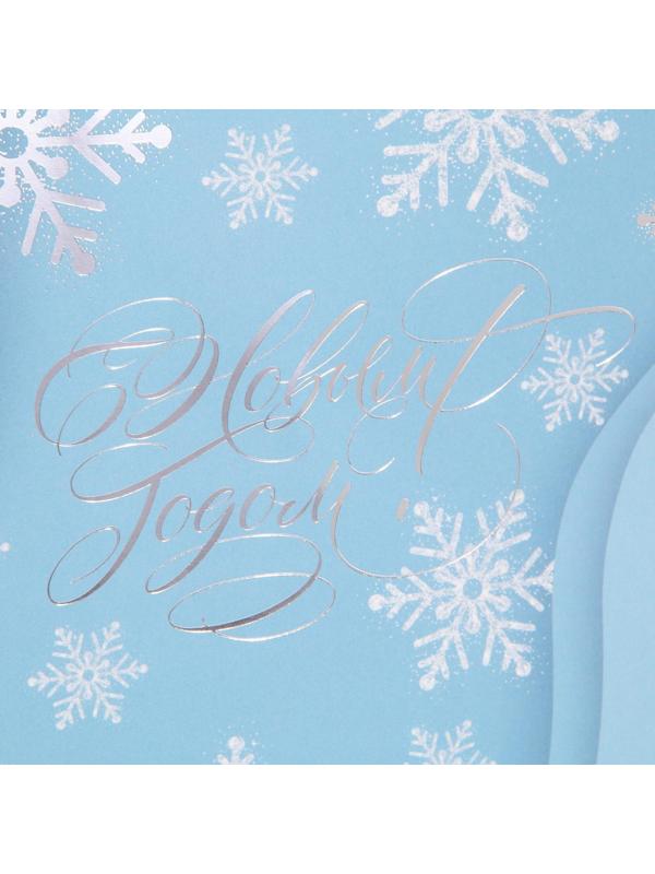 Пакет ламинированный «Лёд», 21 × 30 × 15 см