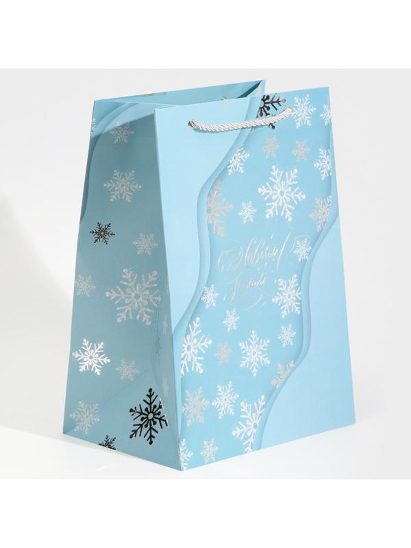 Пакет ламинированный «Лёд», 21 × 30 × 15 см