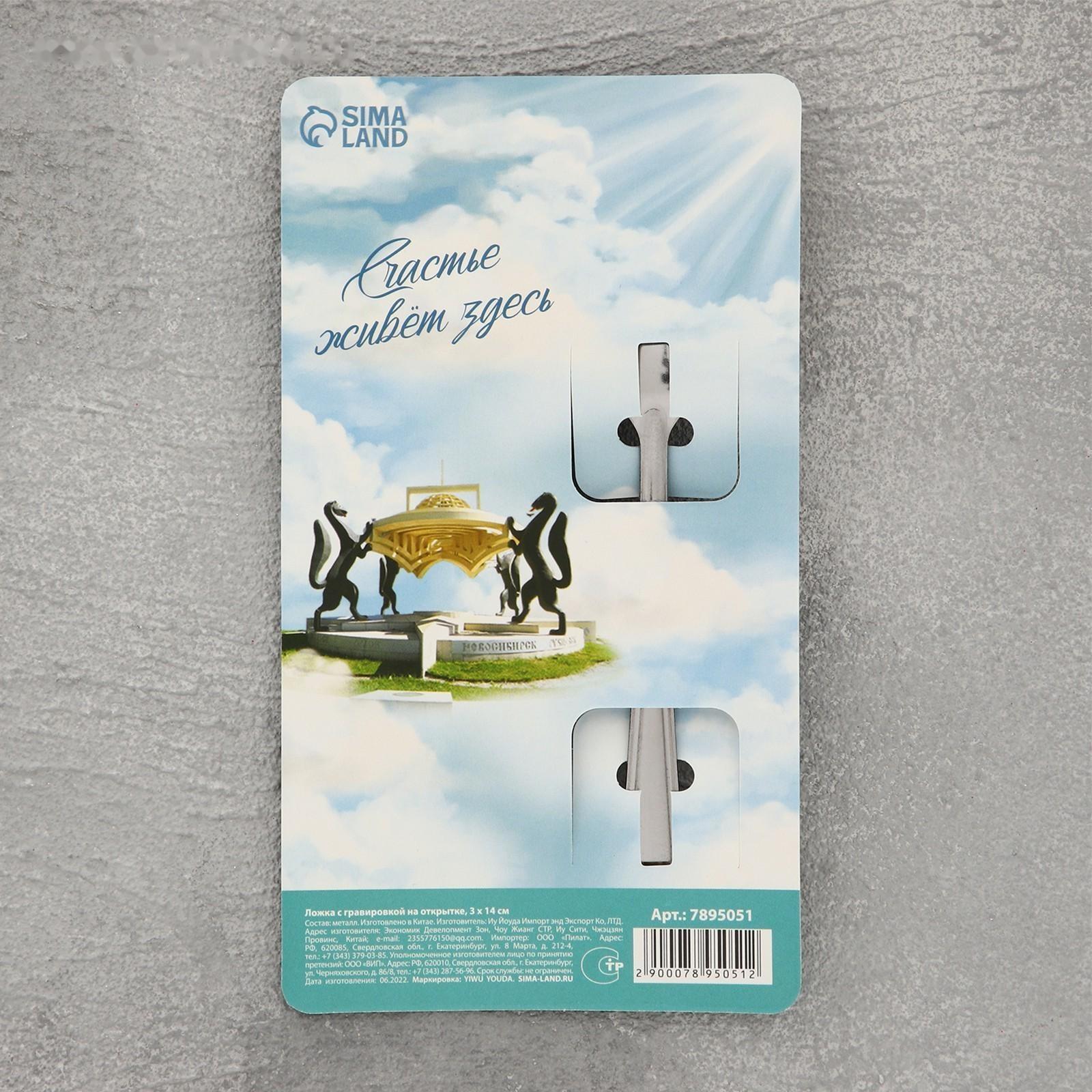 Ложка сувенирная «Новосибирск», с гравировкой, 3 х 14 см