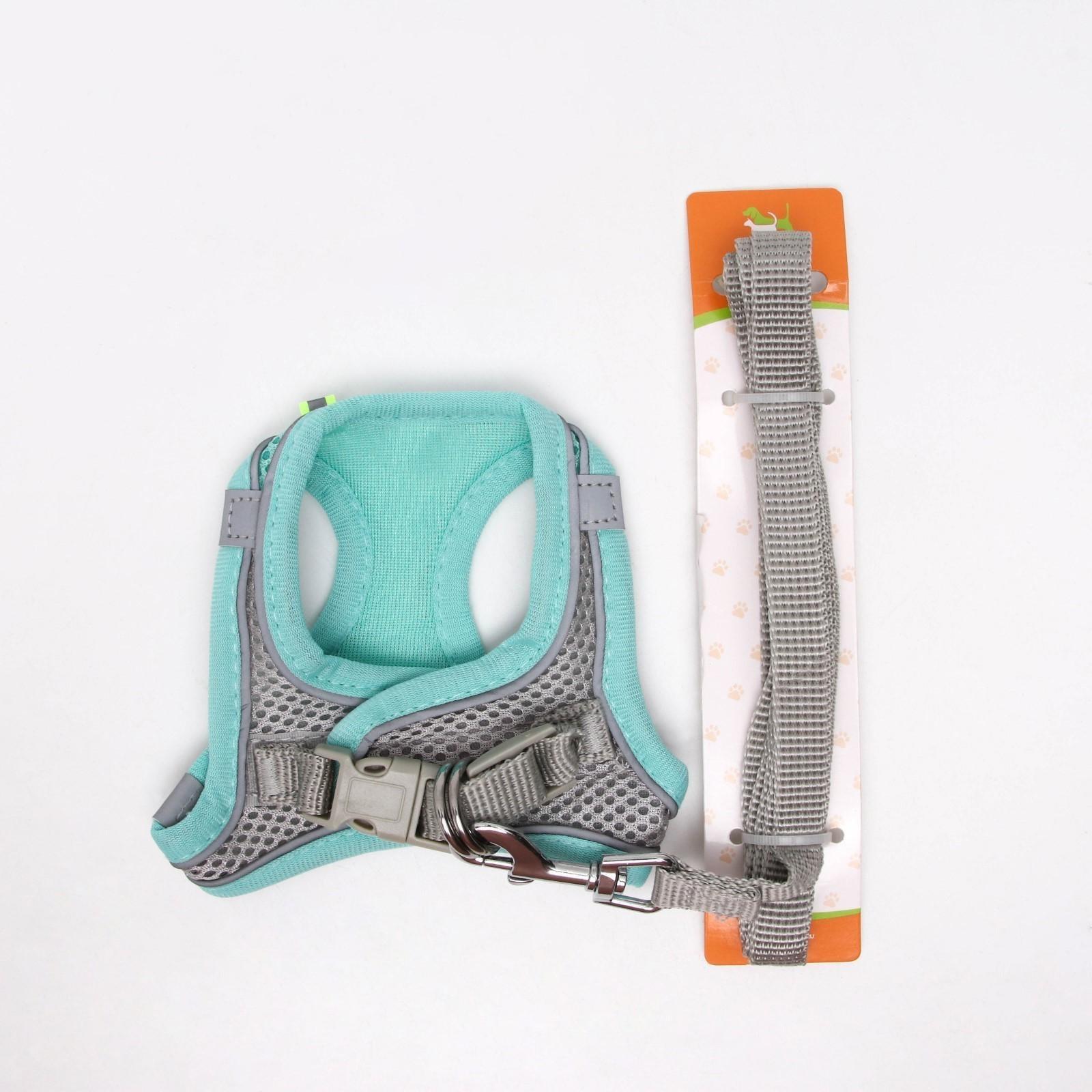 Комплект с мягкой шлейкой, быстросъемный, S, поводок 150 х1,5 см, ОШ 33-36 ОГ 35-40 см,