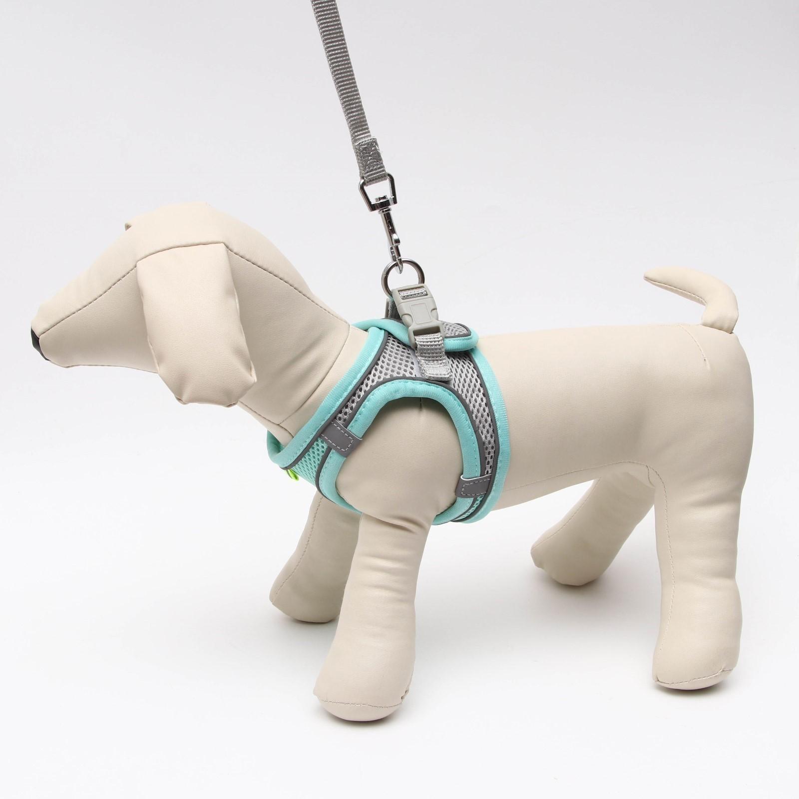 Комплект с мягкой шлейкой, быстросъемный, S, поводок 150 х1,5 см, ОШ 33-36 ОГ 35-40 см,