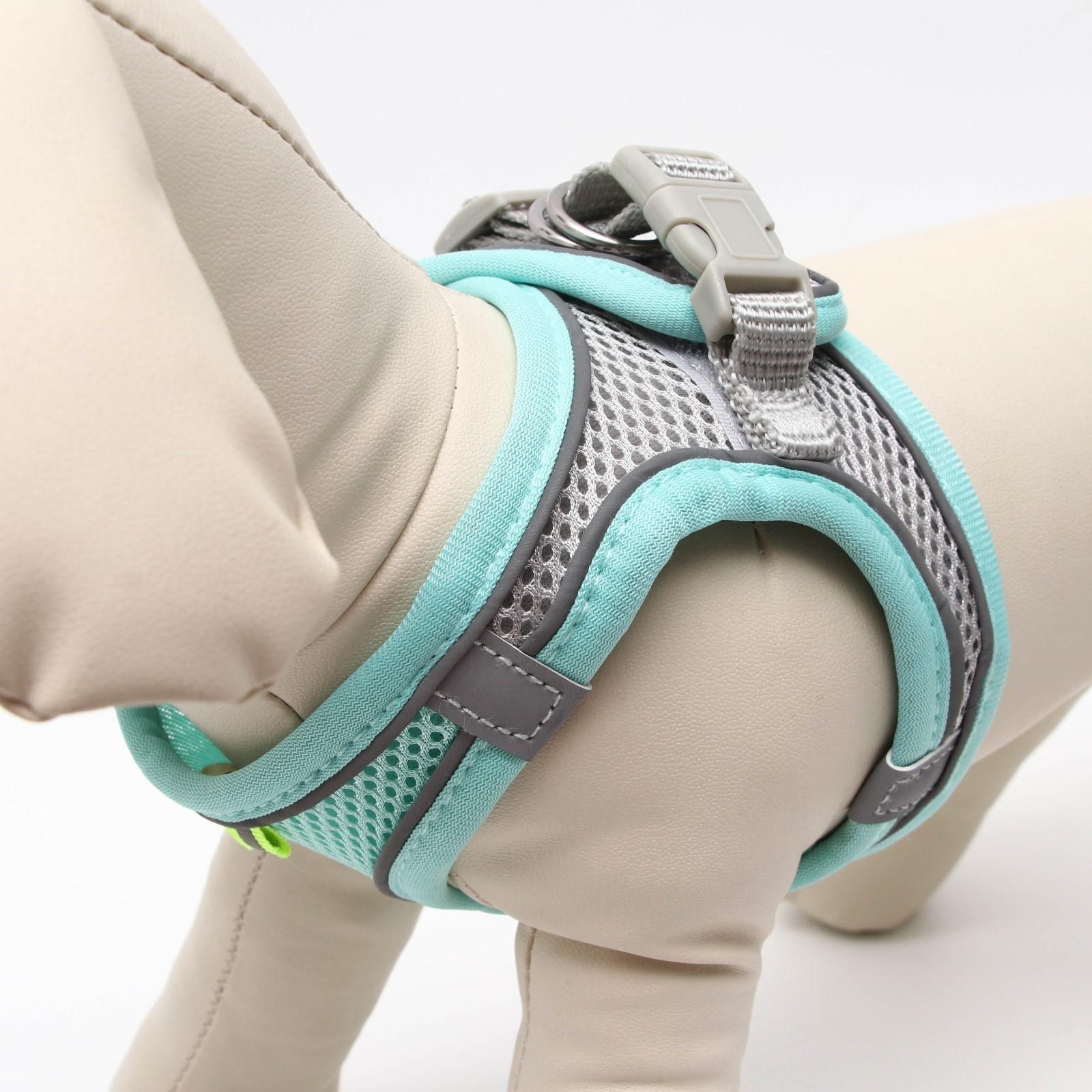 Комплект с мягкой шлейкой, быстросъемный, S, поводок 150 х1,5 см, ОШ 33-36 ОГ 35-40 см,