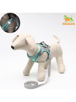 Комплект с мягкой шлейкой, быстросъемный, S, поводок 150 х1,5 см, ОШ 33-36 ОГ 35-40 см,