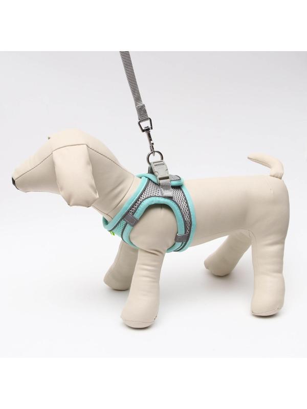 Комплект с мягкой шлейкой, быстросъемный, S, поводок 150 х1,5 см, ОШ 33-36 ОГ 35-40 см,