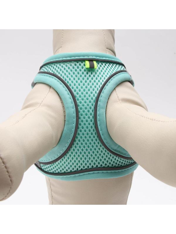 Комплект с мягкой шлейкой, быстросъемный, S, поводок 150 х1,5 см, ОШ 33-36 ОГ 35-40 см,