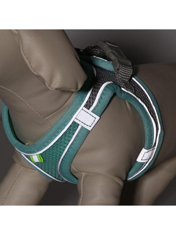 Комплект с мягкой шлейкой, быстросъемный, S, поводок 150 х1,5 см, ОШ 33-36 ОГ 35-40 см,