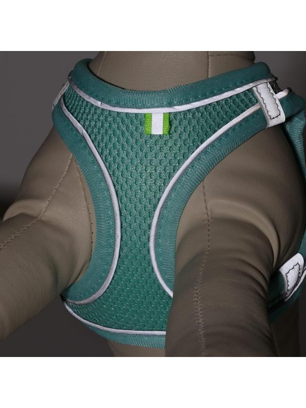 Комплект с мягкой шлейкой, быстросъемный, S, поводок 150 х1,5 см, ОШ 33-36 ОГ 35-40 см,